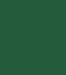 Team_Dark_Green